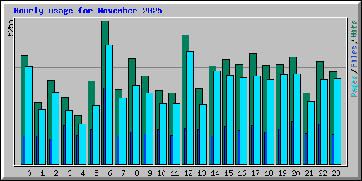 Hourly usage for November 2025