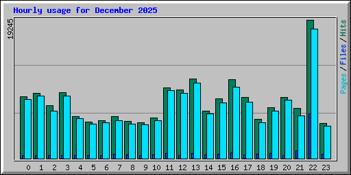 Hourly usage for December 2025