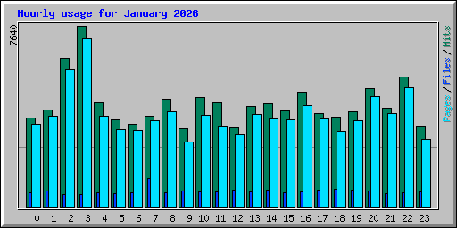Hourly usage for January 2026