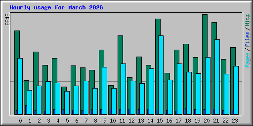 Hourly usage for March 2026