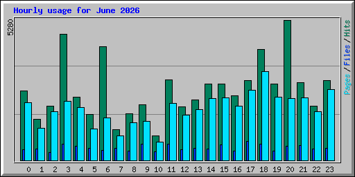 Hourly usage for June 2026